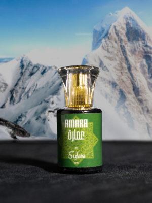 12ml v1