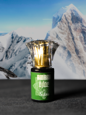 6ml v1